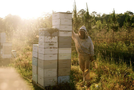 Beekeeping as a way of life